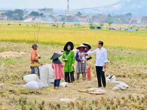 Jokowi Sebut Semua Negara Kesulitan Pupuk