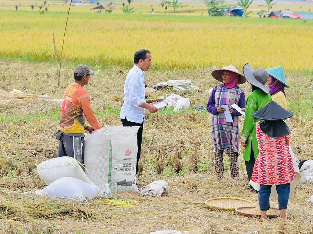 Pabrik Pupuk Bakal Dibangun di Papua Barat, Ini Pesan Jokowi Pabrik Pupuk Bakal Dibangun di Papua Barat, Ini Pesan Jokowi