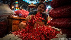 Pedas! Harga Cabai di Jakarta Naik Hari Ini