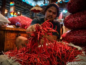 Harga Cabai Anjlok, Sumut Deflasi 0,31% Pada Maret 2023 Harga Cabai Anjlok, Sumut Deflasi 0,31% Pada Maret 2023