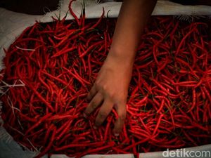 Harga Cabai Merah Keriting Anjlok, Pedagang: Orang Puasa Kurangi Beli