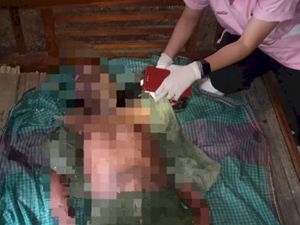 Petani di Kupang Tewas Terjatuh dari Pohon Lontar Petani di Kupang Tewas Terjatuh dari Pohon Lontar