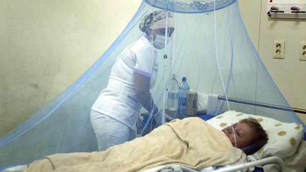 Wabah Chikungunya Landa Paraguay, Lebih dari 1.200 Kasus dalam Tiga Minggu