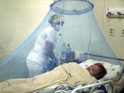 Wabah Chikungunya Landa Paraguay, Lebih dari 1.200 Kasus dalam Tiga Minggu