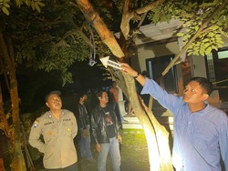 Remaja Perempuan Mojokerto Ditemukan Tewas Gantung Diri di Pohon Kelengkeng