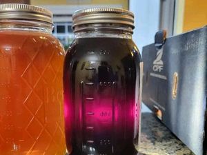 Cantik! Madu Ini Warnanya Ungu dengan Semburat Rasa Anggur Cantik! Madu Ini Warnanya Ungu dengan Semburat Rasa Anggur