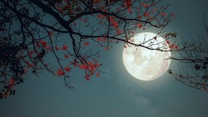 Doa Melihat Bulan dan Langit Cerah yang Diajarkan Rasulullah