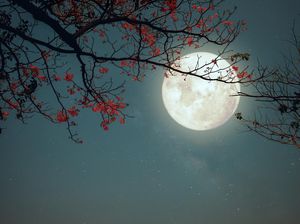 Ini Beragam Fenomena Bulan di Juli, Ada Bulan Apogee Ini Beragam Fenomena Bulan di Juli, Ada Bulan Apogee