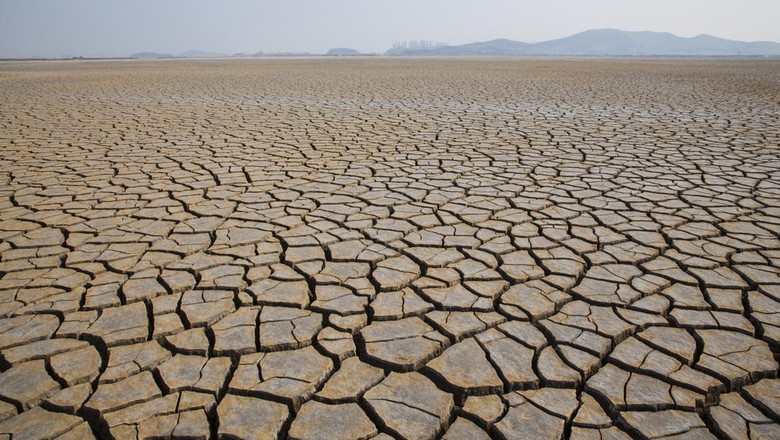 Agustus Masih Kemarau, BMKG: Potensi Hotspot di Sumsel Tinggi