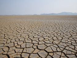 Puncak Kemarau Agustus-Oktober, BPBD Sumsel: Lebih Kering dan Lama dari 2024