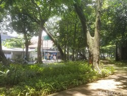 Taman Pers Bandung yang Dulu Jadi Tempat Buang Barbuk Kejahatan