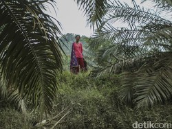 Semalam Lebih Dekat dengan Suku Anak Dalam yang Dianggap Misterius