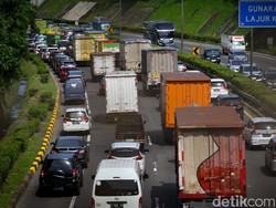 Hotman Paris Sentil Mobil Pejabat Lewat Bahu Jalan Tak Ditilang, Beda sama Mobil Pribadi