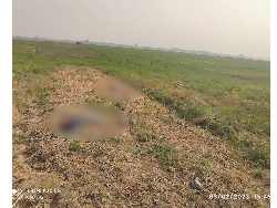 Pembantaian di Myanmar, 17 Warga Sipil Dipenggal Militer Junta