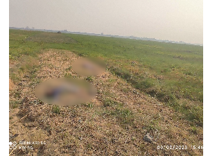 Pembantaian di Myanmar, 17 Warga Sipil Dipenggal Militer Junta Pembantaian di Myanmar, 17 Warga Sipil Dipenggal Militer Junta