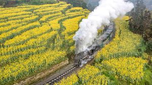 Saat Kereta Uap Melintasi Lautan Bunga di China, Indah Banget