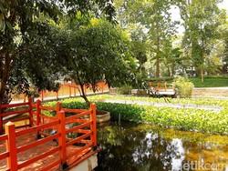 Mencari Sejuk dan Ketenangan di Taman Lansia Bandung