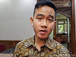 Gibran Ternyata Cuma Follow Amien Rais di Twitter, Ini Alasannya