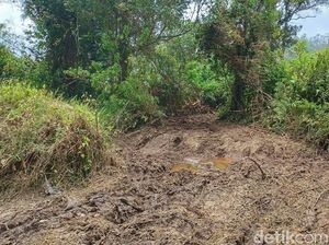 Komentar Guru Besar Unpad soal Event Trail yang Bikin Ranca Upas Merana Komentar Guru Besar Unpad soal Event Trail yang Bikin Ranca Upas Merana