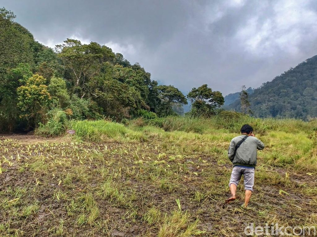 Kesaksian Traveler yang Lihat Motor Trail Ugal-ugalan di Ranca Upas Kesaksian Traveler yang Lihat Motor Trail Ugal-ugalan di Ranca Upas