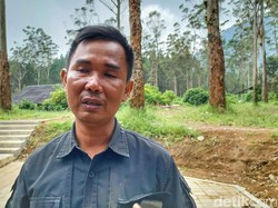 Ini Mang Uprit, Petani yang Murka Edelweis Rawa di Ranca Upas Digilas Trail