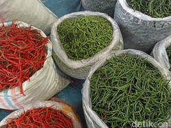 Harga Cabai Hijau dan Rawit di Medan Turun Jelang Ramadhan
