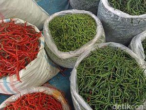 Harga Cabai Hijau dan Rawit di Medan Turun Jelang Ramadhan Harga Cabai Hijau dan Rawit di Medan Turun Jelang Ramadhan