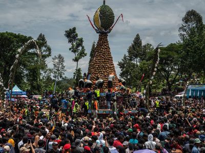Harum Semerbak Festival Durian di Jombang