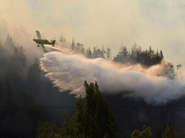 Kebakaran Hutan Mengamuk di Patagonia Argentina