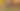 Foto: Getty Images/iStockphoto/Anne Coatesy/Landak memiliki duri di tubuh yang bisa membuatnya tahan dengan gigitan ular