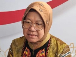 Mensos Risma Ungkap Distribusi Bantuan Longsor Serasan Natuna Terkendala Medan