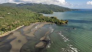Foto Udara Tumpahan Minyak yang Cemari Pantai di Filipina