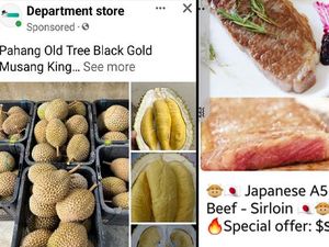 Penipuan Durian dan Wagyu Online Rugikan Pelanggan Hingga Rp 228 Juta