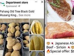 Penipuan Durian dan Wagyu Online Rugikan Pelanggan Hingga Rp 228 Juta