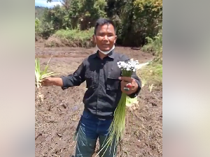 Kebun Edelweis di Ranca Upas Rusak gegara Acara Trail, Begini Kondisinya Kebun Edelweis di Ranca Upas Rusak gegara Acara Trail, Begini Kondisinya