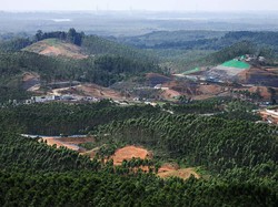 Otorita IKN Sebut 17 Negara Minat Investasi di IKN