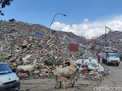 Walhi Nilai Pemkot Makassar Tak Punya Strategi Urus TPA Antang Over Kapasitas