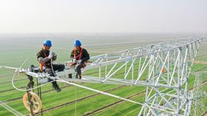 Aksi Teknisi di Atas Pembangkit Listrik Tenaga Nuklir Setinggi 70 Meter
