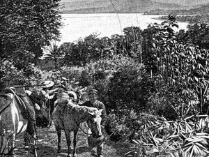 Ceceran Darah Sang Wedana di Proyek Jalan Cibadak Sukabumi