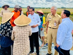 Respons Duet Prabowo-Ganjar di Pilpres 2024, Hasto: Capres dari PDIP