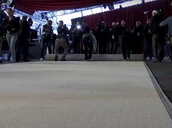 Karpet Merah Oscar 2023 Akan Berubah Jadi Warna Champagne