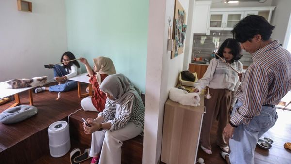 Pecinta Kucing, Bisa Nih Nongkrong di Kafe Ini