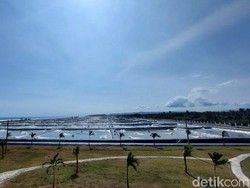 Tambak Modern 1.800 Ha Bakal Dibangun di Sumba NTT