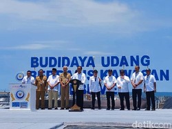 3 Fakta Tambak Udang Terbesar se-RI yang Diresmikan Jokowi
