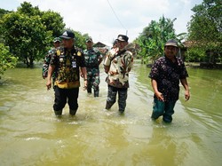Warga Pati Tinggal di Gubuk Atas Pohon Akibat Banjir, Bupati Kirim Bantuan