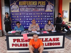 Tanam Ganja di Kebun Cabai, Pria di Bengkulu Ditangkap!