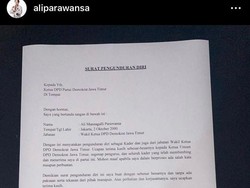 Ali Parawansa, Anak Khofifah Unggah Foto Pengunduran Diri dari Demokrat