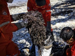 Cara RI, Jepang dan Filipina Tangani Tumpahan Minyak di Laut