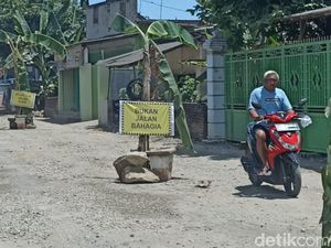 Protes Jalan Rusak, Warga Tulungagung Tanam Pohon Pisang Sepanjang 1,5 Km Protes Jalan Rusak, Warga Tulungagung Tanam Pohon Pisang Sepanjang 1,5 Km