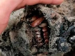 Virus Zombie Terkubur Ribuan Tahun Masih Bisa Menular